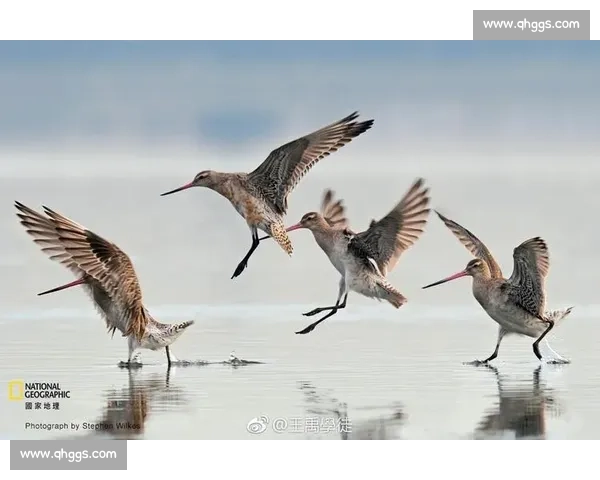 在时代洪流中见证伟大瞬间诞生与人类辉煌跨越的壮丽篇章 在时代洪流中见证伟大瞬间诞生与人类辉煌跨越的壮丽篇章